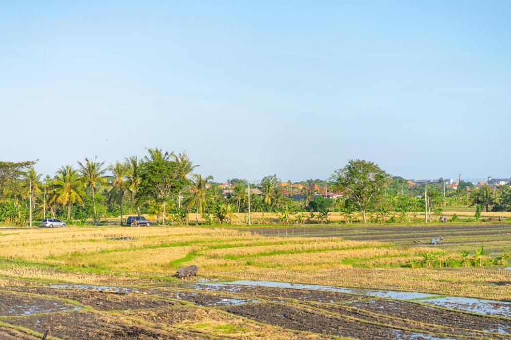 Pondok Lulik Seseh Beach Munggu ภายนอก รูปภาพ
